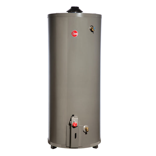 TERMO RHEEM 114 LTS GAS NATURAL